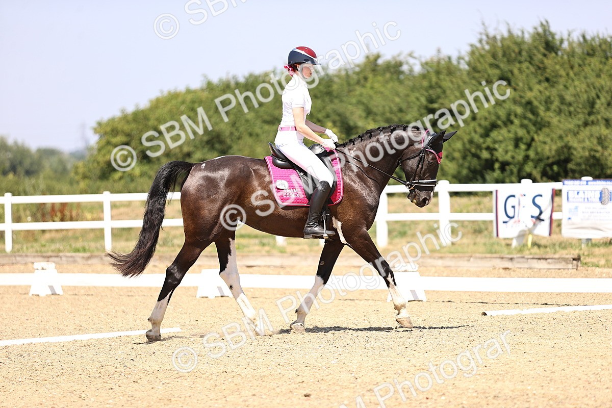 SBM_004046 - Intro 2