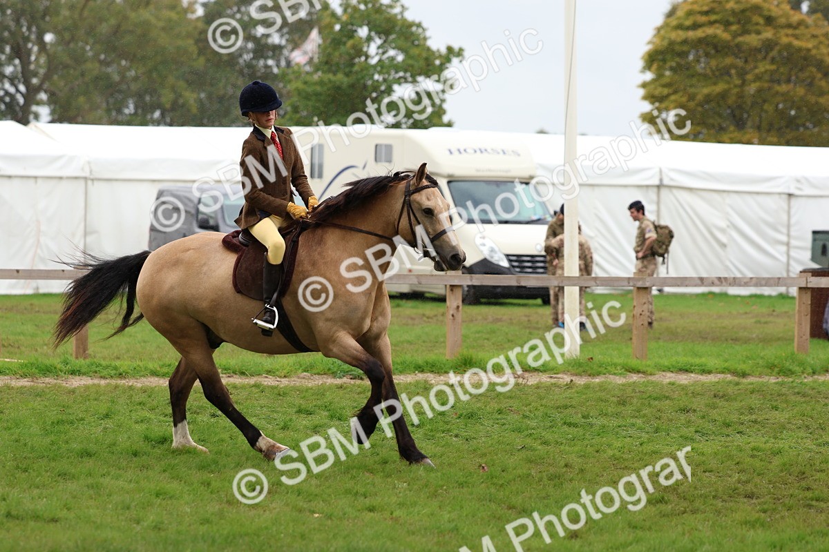 SBM_69630 - S62 - Mountain & Moorland Ridden Large Breeds