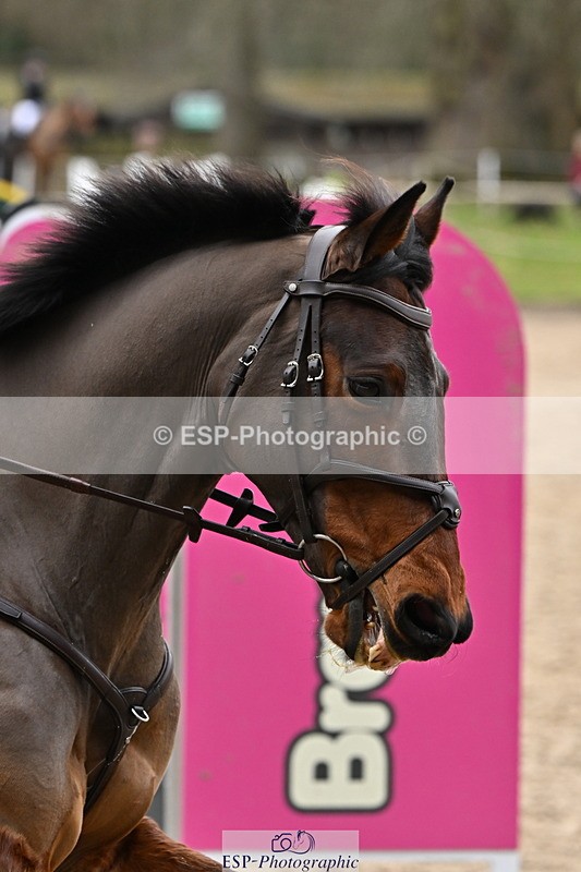 250201A-130229-00721 - Cls 03 Local Horse 110cm