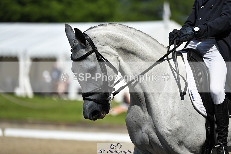 230525-103901-01758 - 314-CHANTILLY_AMATULLAH-Gaspard_Maksud-WEDTrotUp+DR