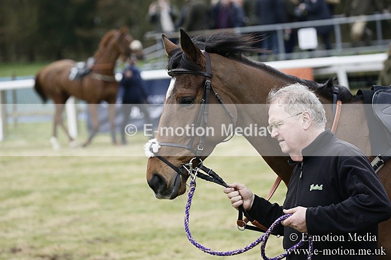 PtP 110318 189 - Hampshire Hunt Point-to-Point Hackwood Park 11/03/18