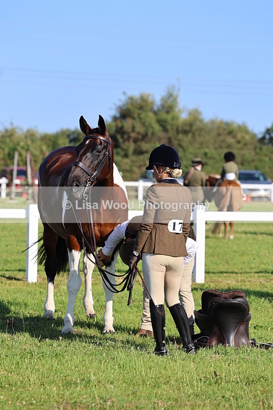 IMG_1310 - Class 27: Ridden Plaited Coloured Horse
