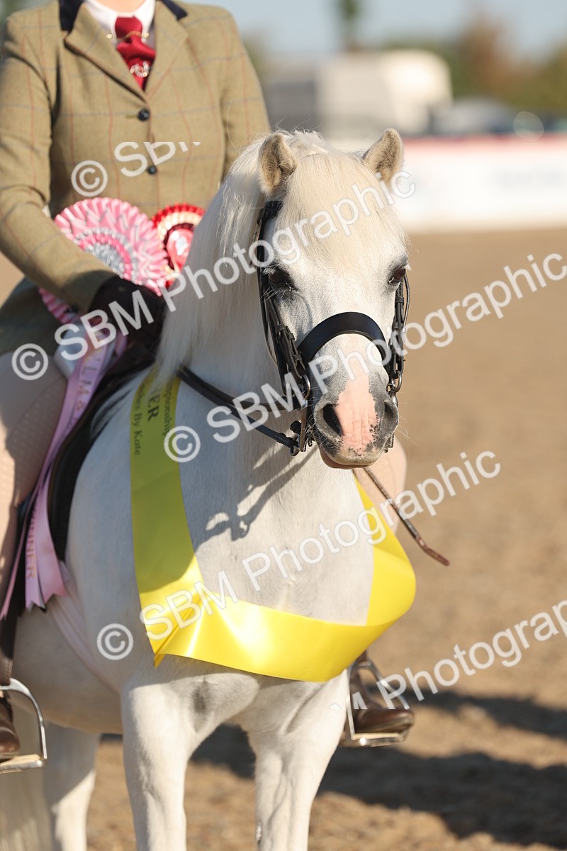 SBM_10934 - Class 301 - Ridden M&M Small Breeds