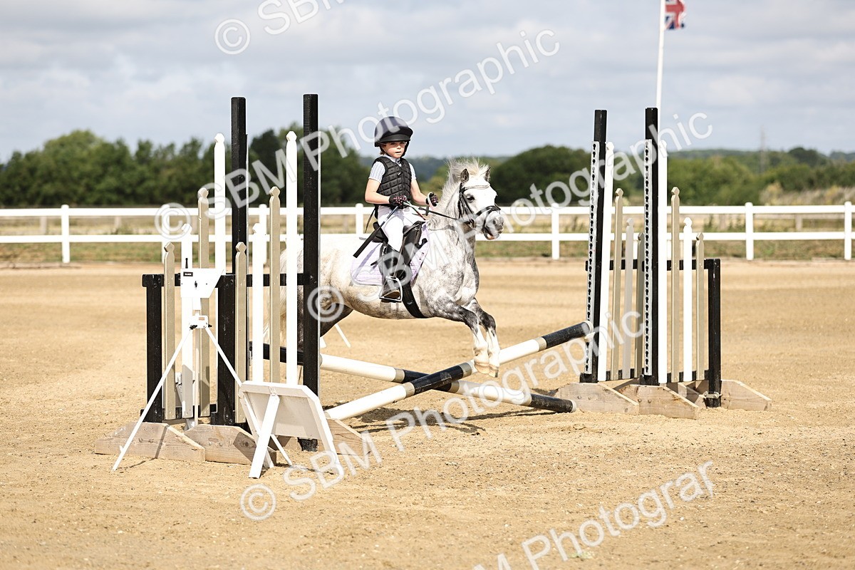 SBM_003481 - 50cm showjumping
