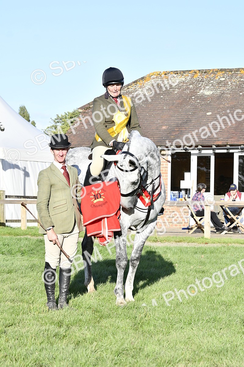 SBM_51760 - Working Hunter Supreme Championship