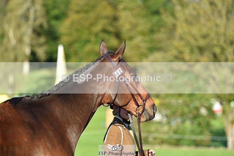 231022-094432-22006 - 450-NORDIC.FIRE-Lara.Hails-TrotUp+SJ