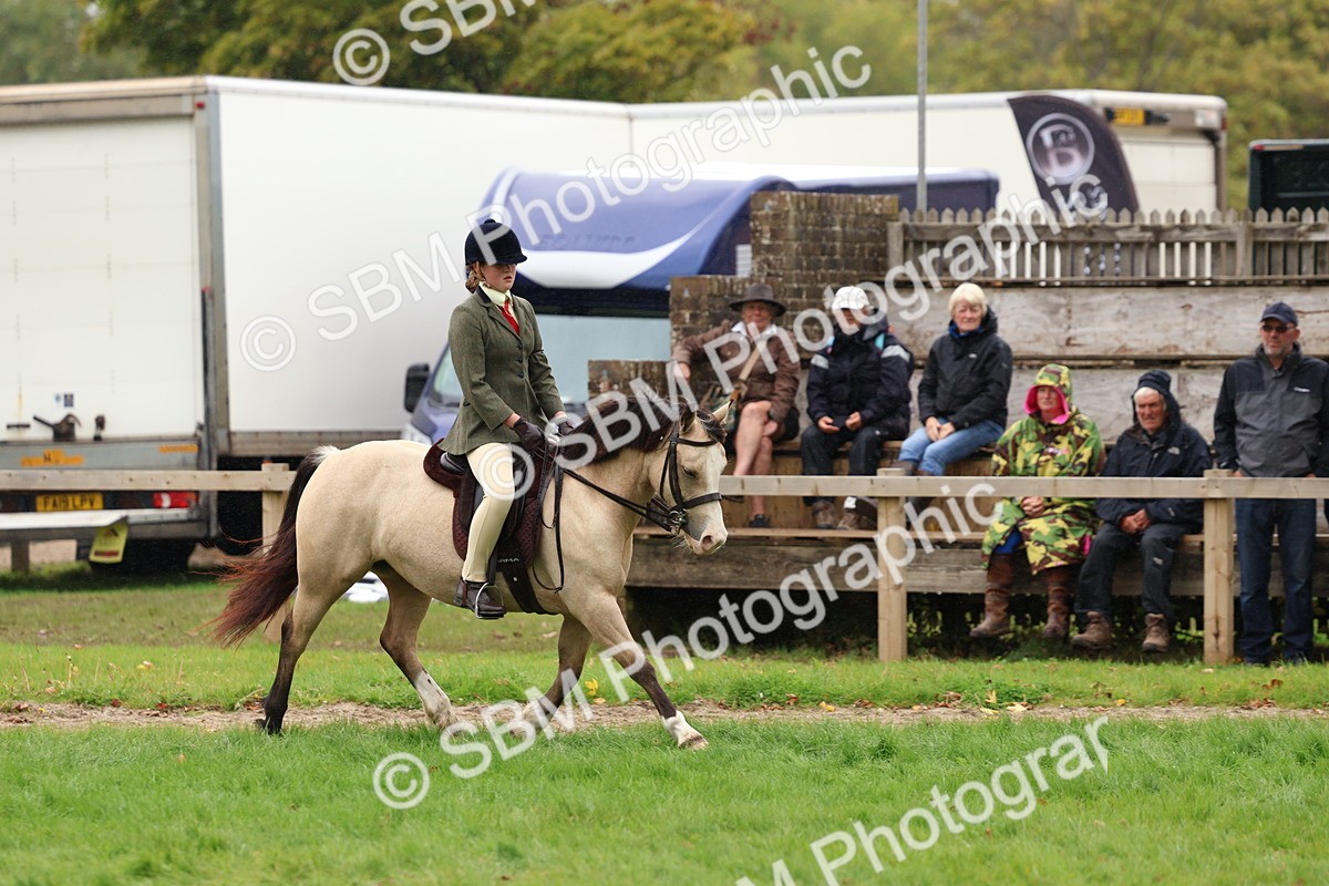 SBM_69632 - S62 - Mountain & Moorland Ridden Large Breeds