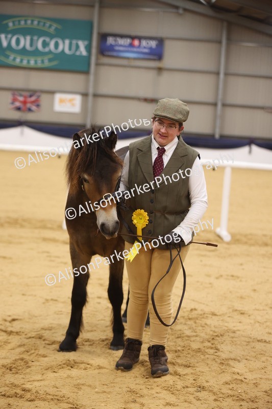 20260913-1078 - Class 109 - Bred On Exmoor In Hand