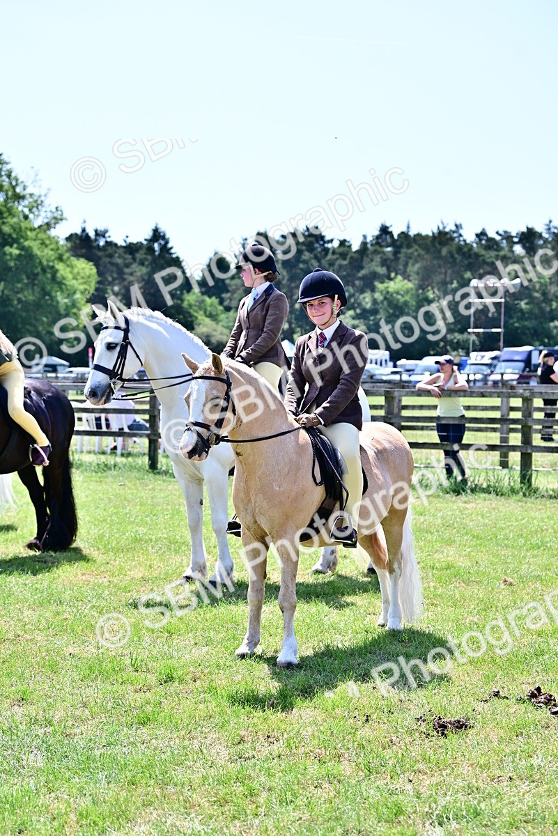 SBM_15422 - Class 95-97 - BSPS LHS Performance Ponies