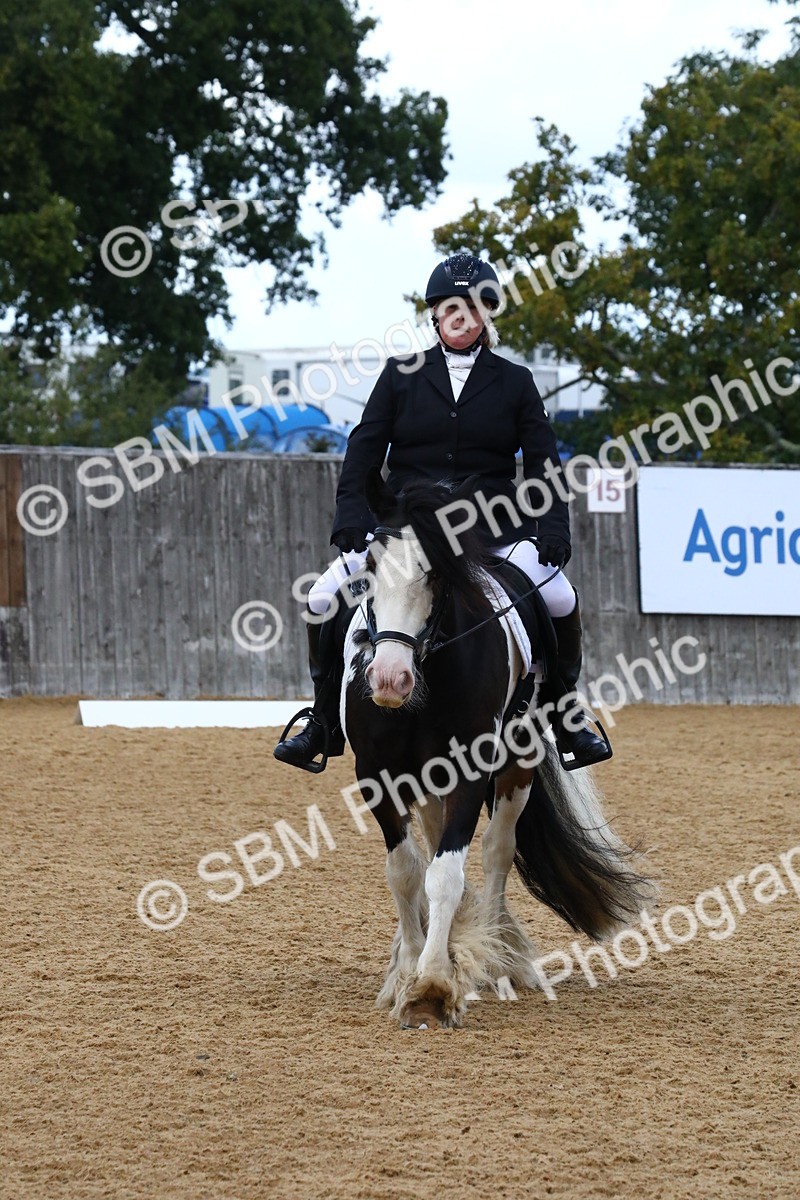 SBM_21036 - D5 - Small Tour Championshop Intro 2