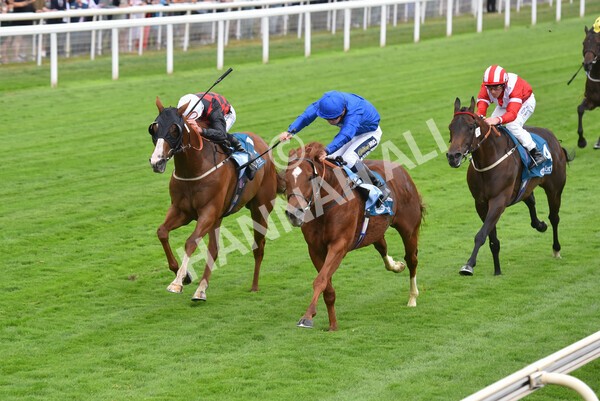 yr22072022r2-36 - Race 2 5.50pm eventmasters.co.uk Stakes