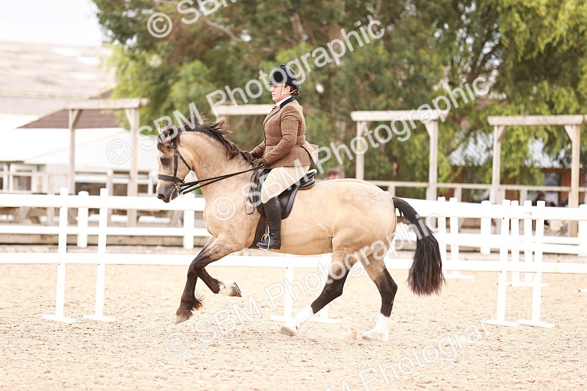 SBM_18993 - Class 422 - Ridden M&M