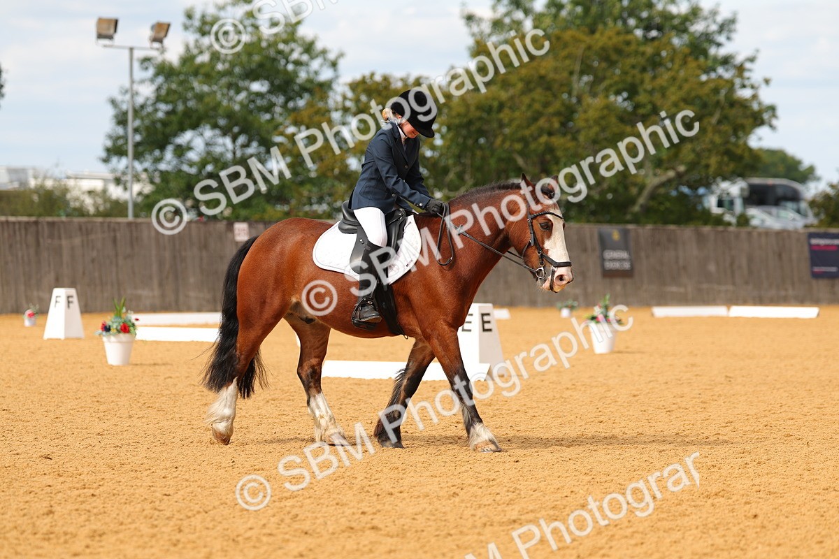 SBM_48144 - D22 - Junior Championship - Intro B
