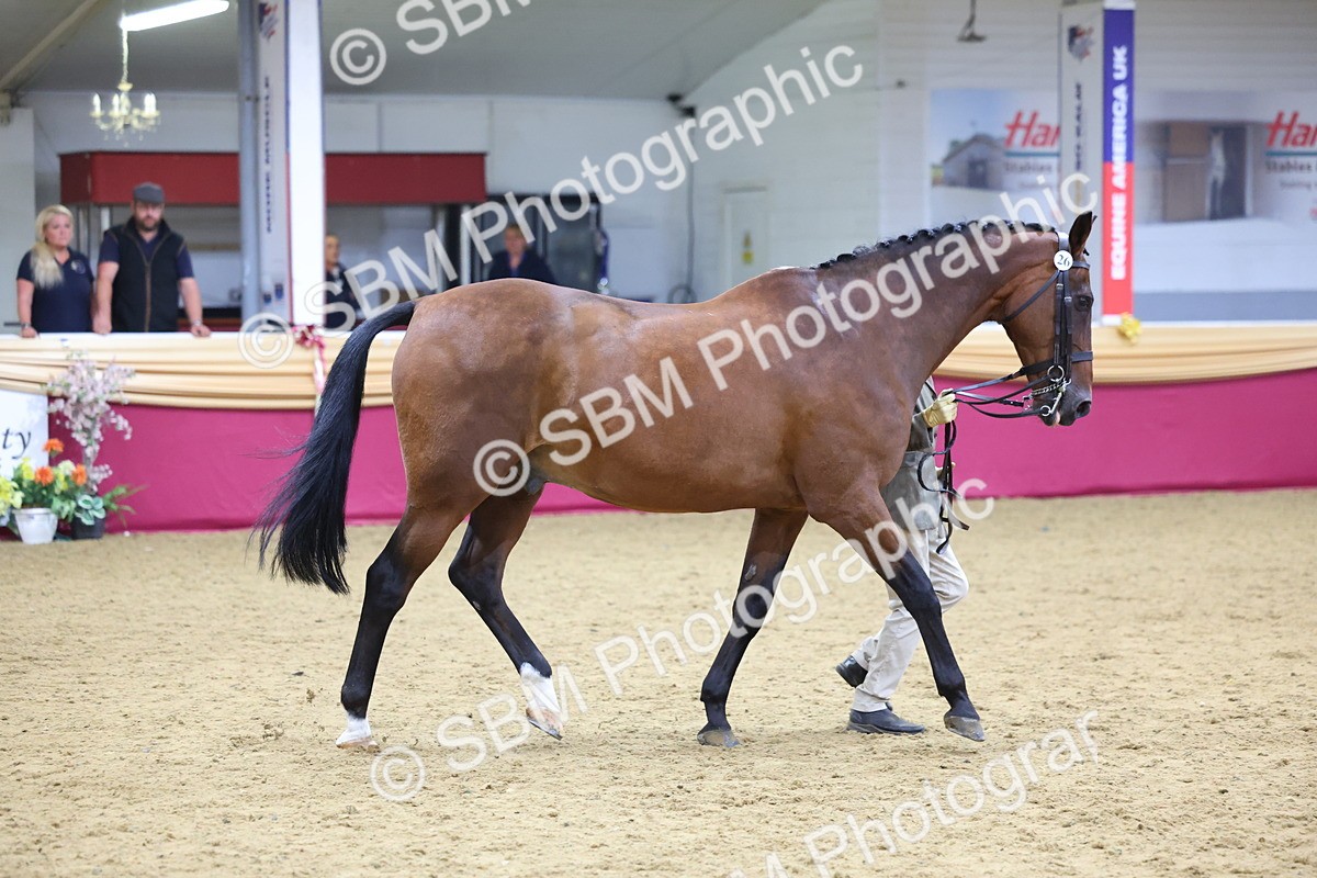 SBM_19519 - Class 901 - Supreme Final - IH Diamond