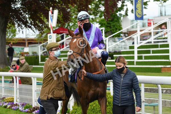 yr22052021r2-35 - Race 2 2.40pm William Hill Brontë Cup