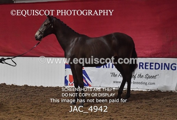 JAC_4942 - 4 River Dance, Take A Chance