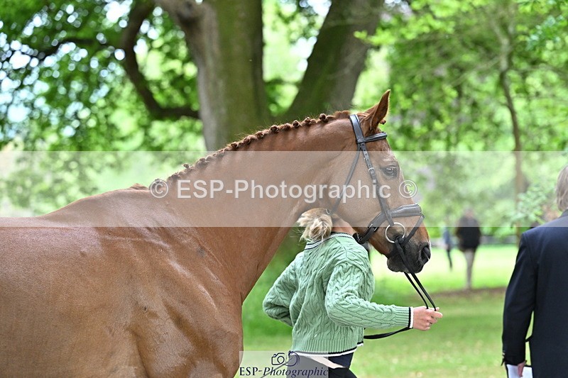 250521A-144136-00172 - A-053-Gemma.Watts-RUBIN.MOON.SB