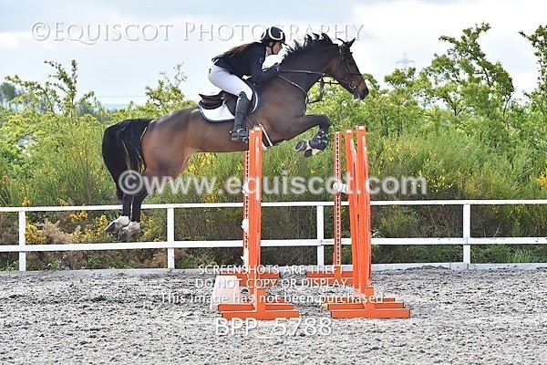 BPP_5788 - SUN CLASS 33 FOX/1.20M