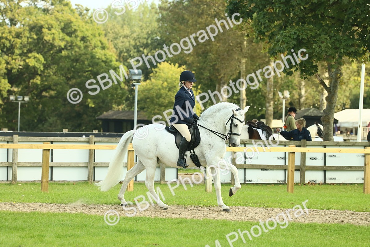 SBM_62443 - S62 - Foreign Breeds Ridden