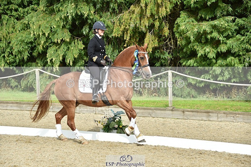 230812-160332-05353 - FEI PSG Bronze Presentations