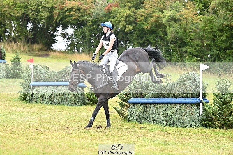 TS_b2170624 - SAT BE 90 Recovered Files fence 8