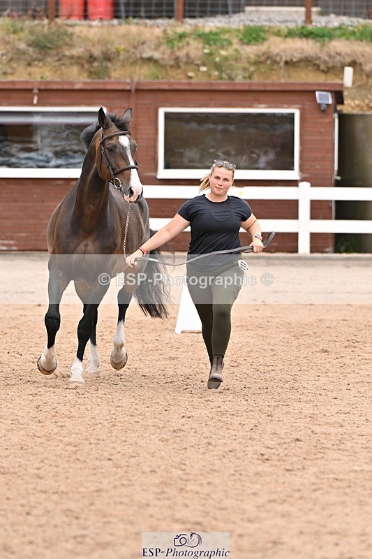 250716-144723-01392 - Trot Up 2.30 to 3.30