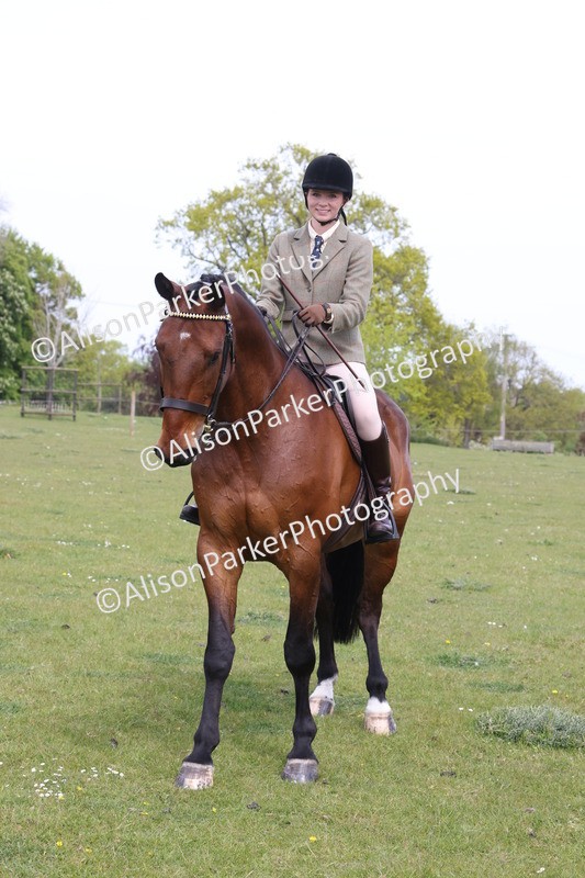 20260426-4380 - Class 34 - Best Riding Horse Over 14.2hh