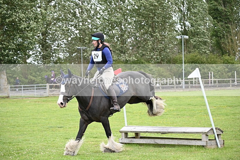 WJ6_3208 - Class 4 60cm