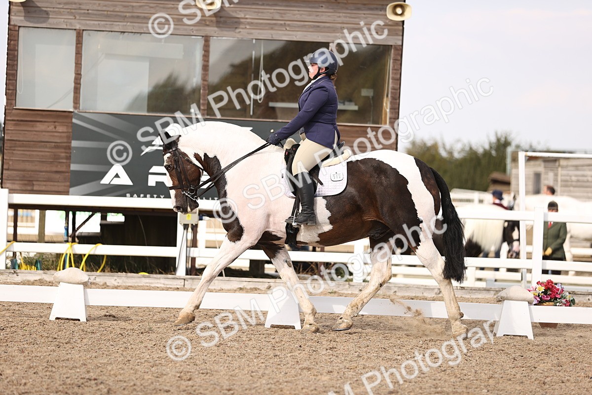 SBM_08117 - Class 39 Medium 3