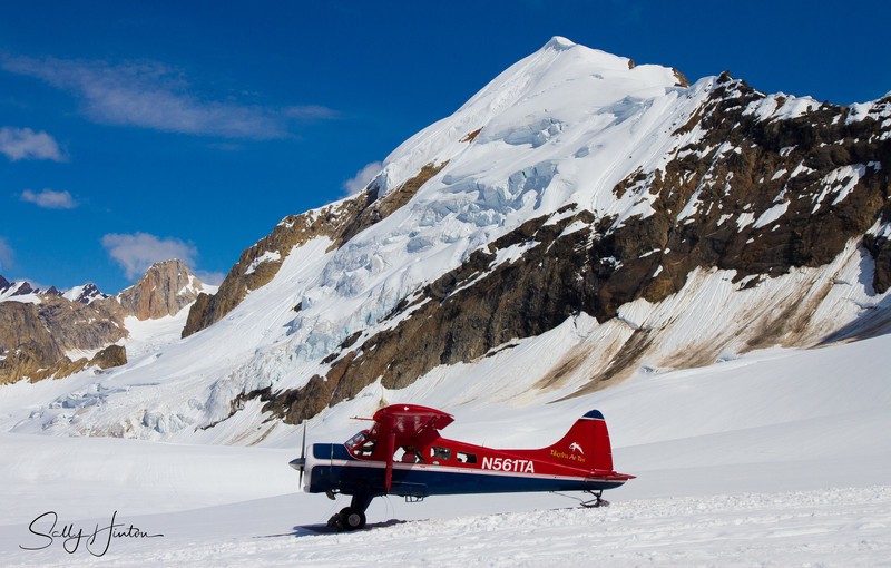 Alaskan Mountains in Summer 8