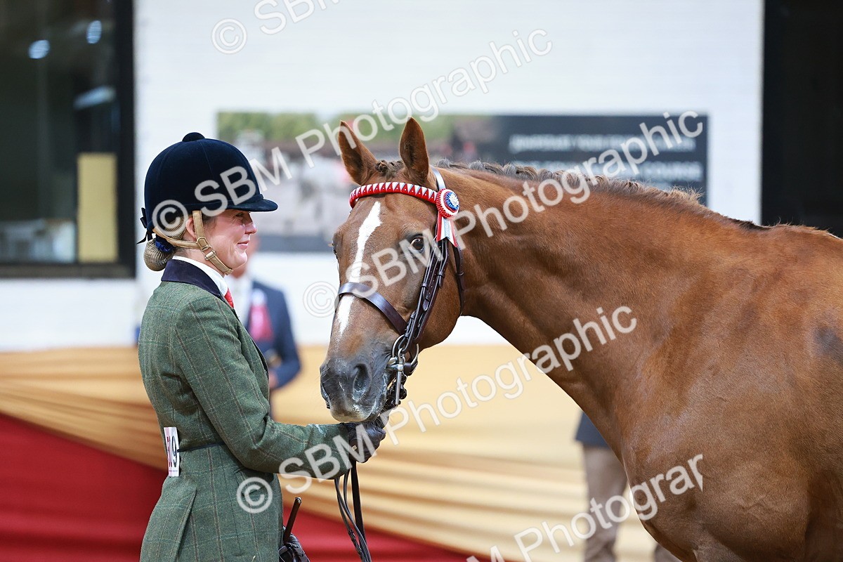 SBM_09810 - Class 102 - HOYS Veteran Qualifier - Ridden Veteran