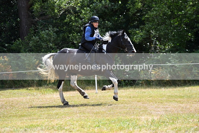 WJ5_9719 - Time 12:03 to 12:29