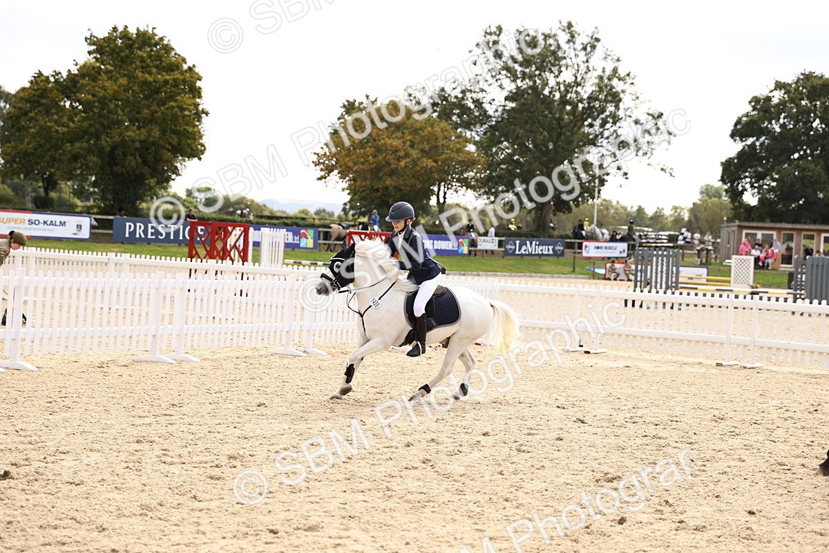 SBM_64047 - J12 - Junior Pony 55cm Championship