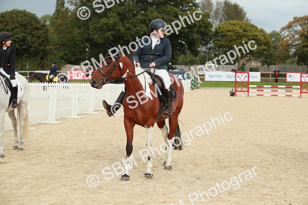 SBM_10206 - J31 Senior 75cm Championship