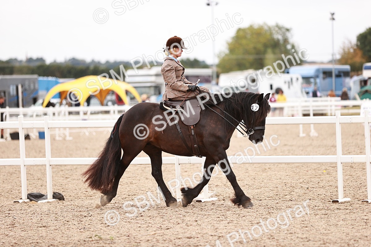 SBM_18948 - Class 422 - Ridden M&M