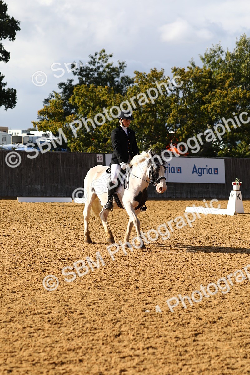 SBM_52486 - D23 - Junior Championship Prelim 1