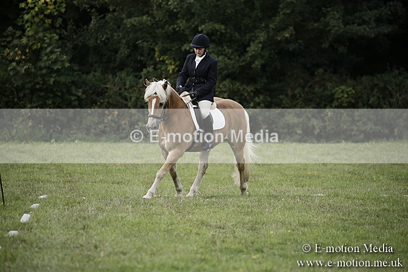 BVR090918 62 - BVRC Dressage and Show Jumping 09/09/18