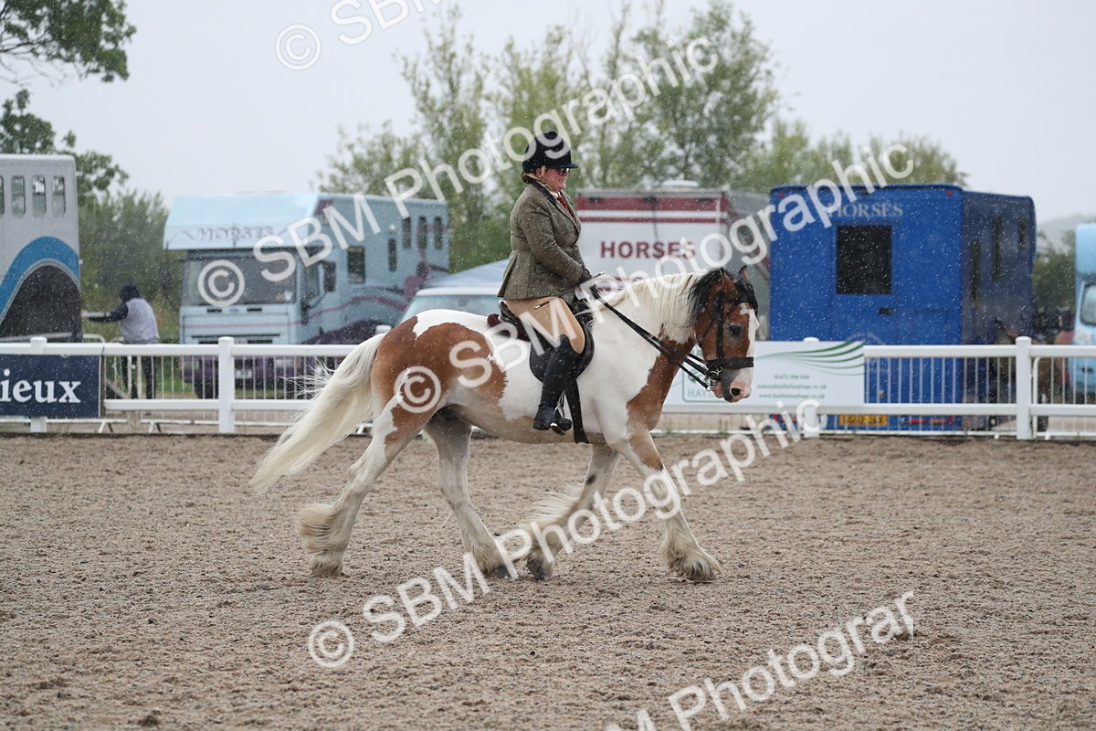 SBM_20417 - Class 601 - 2025 Area - Ridden Diamond