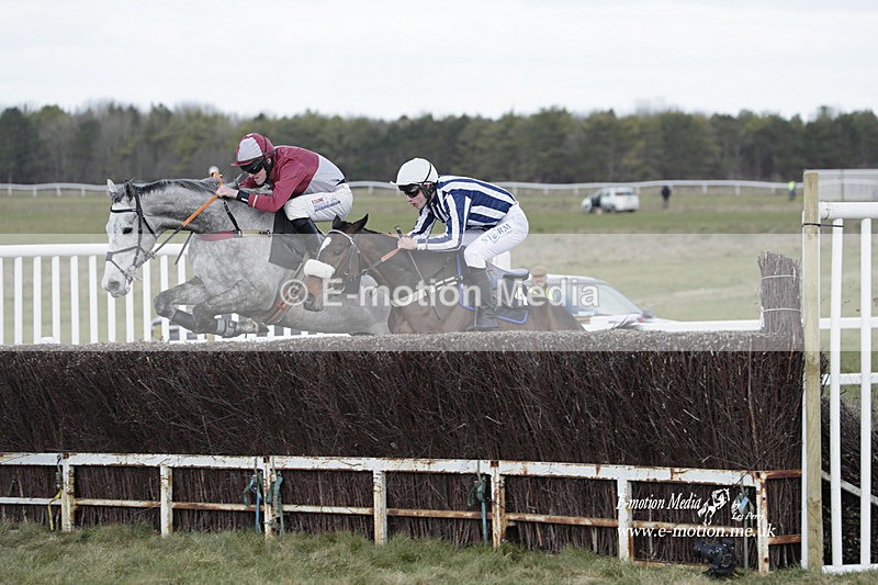 PtP 260223 801 - South & West Wilts Point-to-Point Larkhill 26/02/23