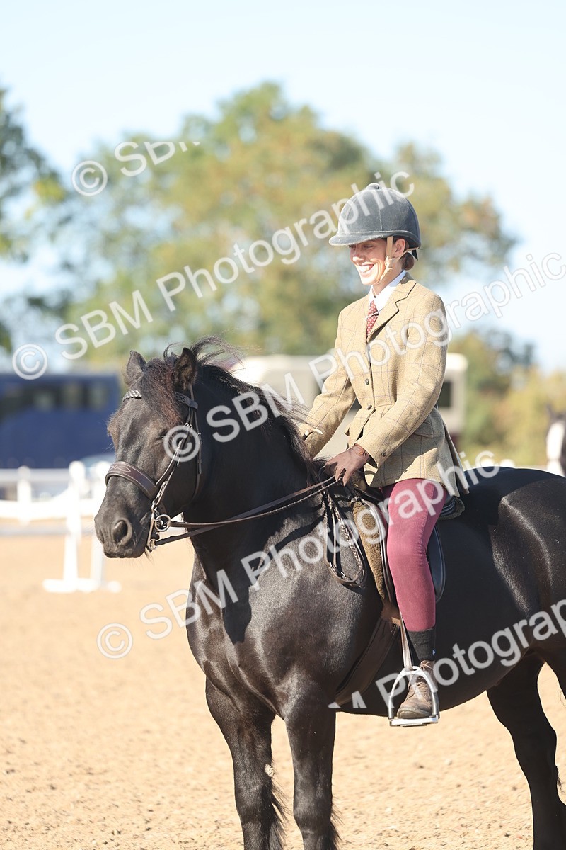 SBM_22164 - Class 802 - Ridden Groom Helpers Class