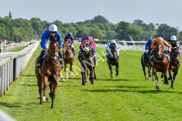 270523-Race 7-Shining Blue-4669 - Race 7 5.00pm Reg Bond Always And Forever Handicap