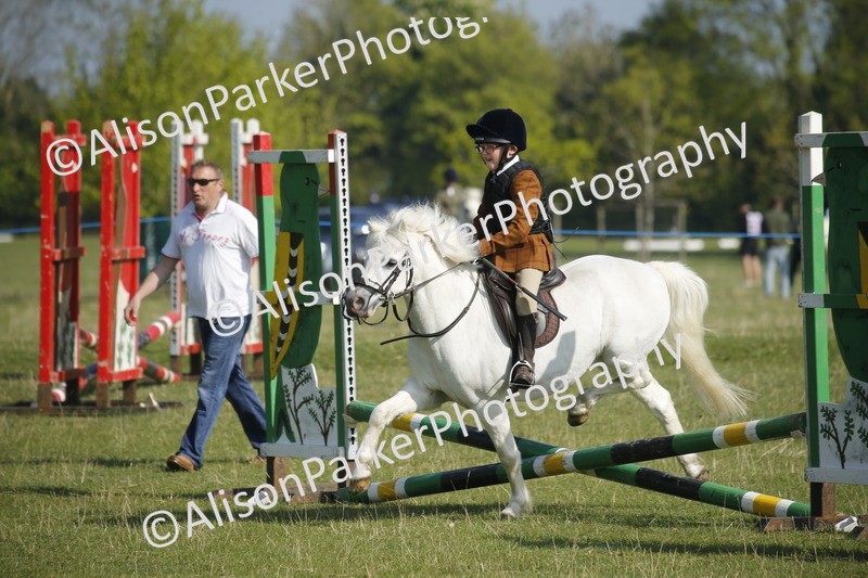 20250427-0301 - Class 12 - Rookie Jumping 40cm