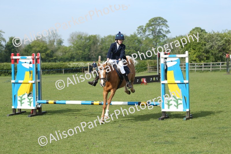 20260426-0242 - Class 13 - Rookie Jumping 50cm