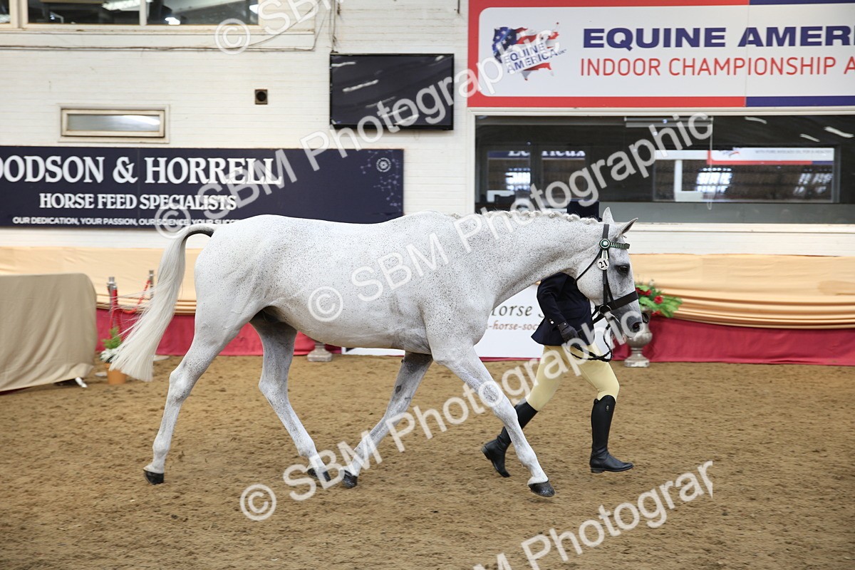 SBM_24256 - Class 905 - Supreme Final - Ridden Veteran