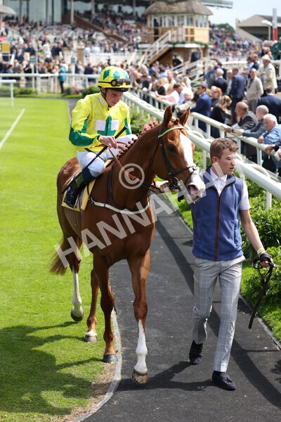 yr11062022r3-8 - Race 3 2.35pm The JCB Stakes