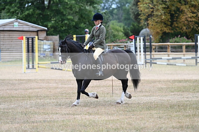 WJ7_0326 - Class 6 Ridden Mountain and Moorland