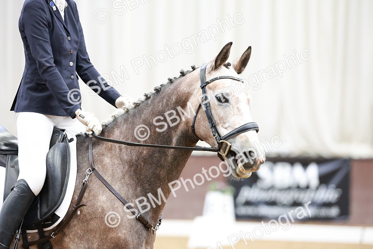 SBM_000640 - Class 2 - Intro 4