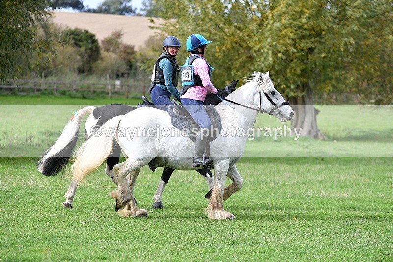 WJ5_0003 - Time 13:25 to 13:58