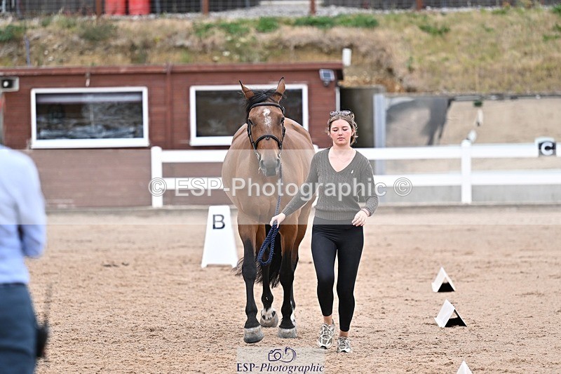 250716-170008-00793 - Trot Up 4.30 to 5.00