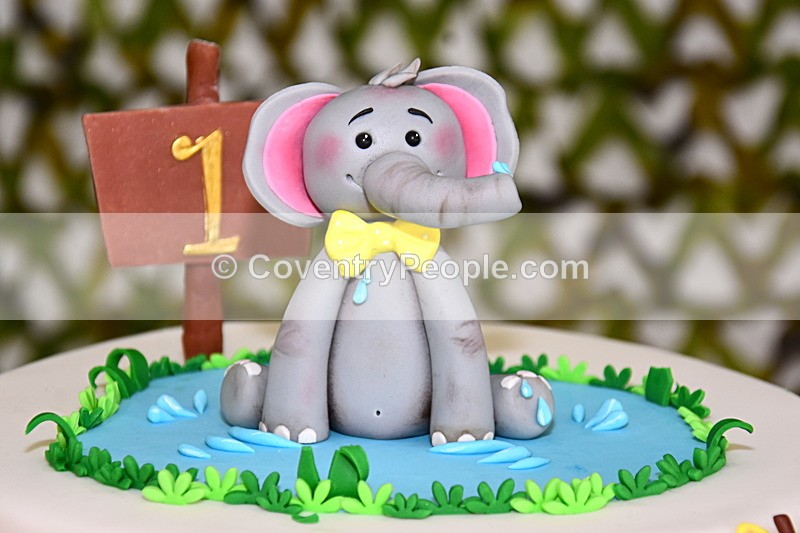 ADN-040 - Aiden's 1st Birthday